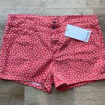 Splendid  Coral Polka Dot Cotton Shorts | NWT | Size 6 Photo 0