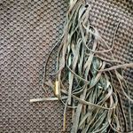 Chico's Black Knit Fringe Leather Cardigan Jacket Womens Small Photo 4