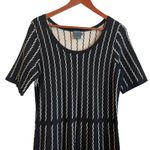 Gabby Skye Women Sweater Dress 1X Black Tan Stripe Swing Hem Trendy Office Photo 5