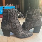 Splendid šHPš Carleton II Snake Bootie Photo 5