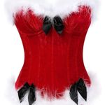 Amazon Santa Halloween Costume Corset Photo 0