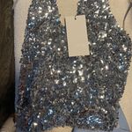 ZARA NWT  Sequin Silver Adjustable Halter Top Size Small Photo 10