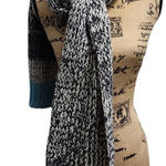 Lane Bryant  Chunky Knit Winter‎ Scarf Black White Teal Colorblock Cozy Warm Photo 0