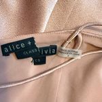 Alice + Olivia Stacey Bendet Women’s 8 Burnt Rose Satin Julietta Slip Dress Formal Photo 13