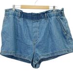 Anthropologie Pilcro Denim Shorts Size XL Light Wash Relaxed Fit Elastic Waist Normcore Casual Photo 6