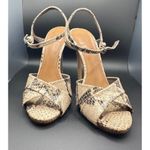 Tory Burch Tan/Brown/Cream Snakeskin Leather Criss Criss Open Toe Heels Photo 5