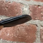 DESIGNERS GUILD coin purse Black caviar leather with zipper and ring Photo 13