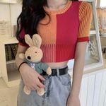 ZARA Colorblock Short Sleeve Knit Photo 0