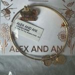 ALEX AND ANI  Gobble Till You Wobble Charm Bangle Bracelet Photo 0