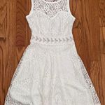 Papaya Classic White Lace Dress Photo 0