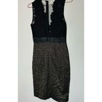 Theia Gold & Black Midnight Lace Crewneck Lace See Through Sheath Dress Size 6 Photo 8