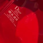 Christian Dior NWT Dior Red Embossed Logo Cosmetic Makeup Pouch Bag w/ Zipper Protector Photo 7
