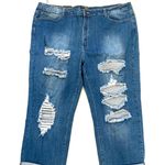 L&B Lucky & Blessed NWT Womans Blue Distressed High Rise Jean Size 22 Photo 0