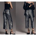 Anthropologie  Maeve NWT Colette sequin cropped pant size 27 Photo 1