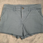 prAna  Women's Blue Shorts 8 Photo 0