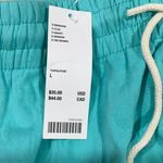 Urban Outfitters  shorts  Photo 1