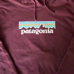 Patagonia  Pullover Graphic Hoodie Photo 1