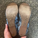 Lanvin Ballet Flats Photo 5