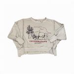 Free People We the free Yellowstone oversized crewneck Photo 1