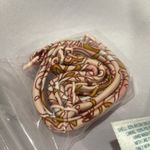 Kona Sol Kona‎ Sol bikini top Pink paisley floral boho NWT Photo 5