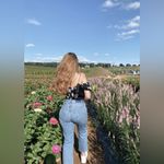 Abercrombie & Fitch high rise jeans | curve love Photo 2