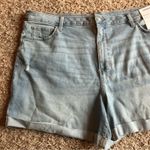 Sonoma NWT!  Light Wash Distressed High Rise Jean Shorts Size 24W Photo 3