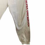 Charles River Apparel  Beige Alpha Omicron Pi Jogger Sweat Pants Photo 1