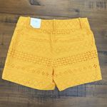 Ann Taylor  LOFT Riviera Shorts SIZE 0 Gold Eyelet 4" Inseam Flat Chino NEW Photo 6