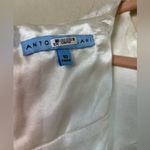 Antonio Melani  Ivory and White Floral Lace Structured Sheath Dress 10 Photo 6