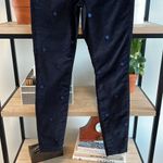 Boden USA Boden High-Rise Velvet Super Skinny Dot Embroidered Pant, 4 Photo 2