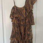 Society Amuse Dress Photo 1