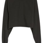 Treasure & Bond  Black Cropped Sweatshirt Photo 0