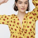 J.Crew NWT Edie Parker® X long-sleeve cover-up dress in strawberries Photo 3