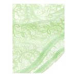 H&M size small camisole sheer light green lace tank top V-neck baby tee cropped Photo 3