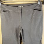 Eileen Fisher  Women's Ankle Length Pants Gray Size Small Stretch Comfy Work Wear Photo 1