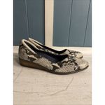 Dr. Scholls  Comfort Shoes Kendall Wedges Snake Print Women’s Size‎ 6 Photo 3