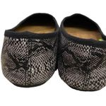 DAWGS WOMEN'S Ballets Flats Black Gray Snake Skin Pattern, Womens Size 5 Photo 3