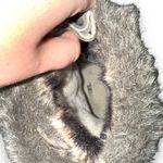 Sorel  Joan Explorer Shearling Faux Fur‎ Lace Up Gray Leather Booties Sz 9 Photo 8