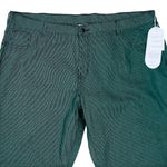 Diane Gilman NWT DG2  Green Pinstriped Jeans Pants Size 24W Petite Photo 2