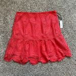 Lovers + Friends  pink lace mini skirt size M NWT Photo 1