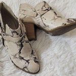 Fergalicious Size 9 Snakeskin Women Ankle Boots 3 inch Heels Photo 0