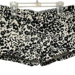 J.Crew  Black and White Patterned Cotton Shorts Photo 0