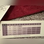 Calia by Carrie Underwood Lustralux T Back Bra Bricklayer Heather Red Size XS Photo 5