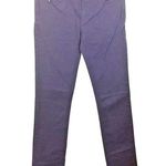 Replay women's 28 straight stretch "PAUBDUL" Paula Abdul zip chain skinny jeans Purple Photo 0