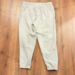 ARITZIA TNA COZY AF Boyfriend Fleece Joggers Grey size Large Gray Photo 2