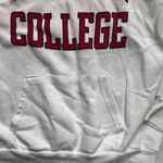 Champion Ursinus College Hoodie Photo 1