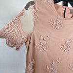 Forever 21 Romantic Sheer Lace Blouse Cottagecore Scalloped Floral Mesh Feminine Small Pink Photo 3