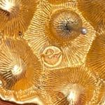 Swavorski Vintage SWAROVSKI Swan Signed Multicolored Crystal Gold-plated  Earrings 17g. Photo 13