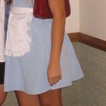 Blue Dress Alice in Wonderland Photo 0
