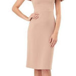 Kay Unger  Nicolette Gown in Pink Size 4 LIKE NEW Photo 0